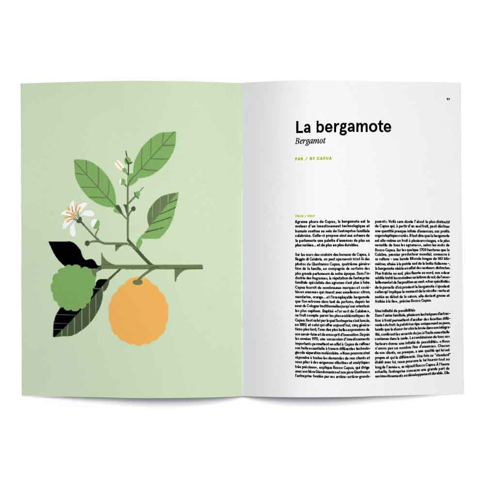 Libro From Plant To Essence